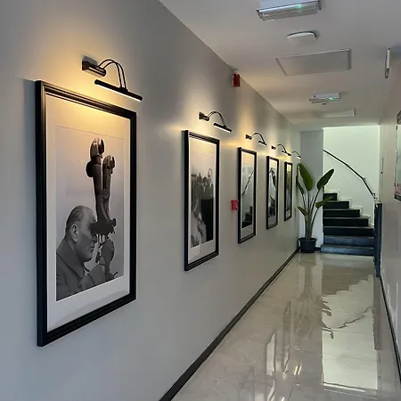 Beyaz Inci Palamutbuku