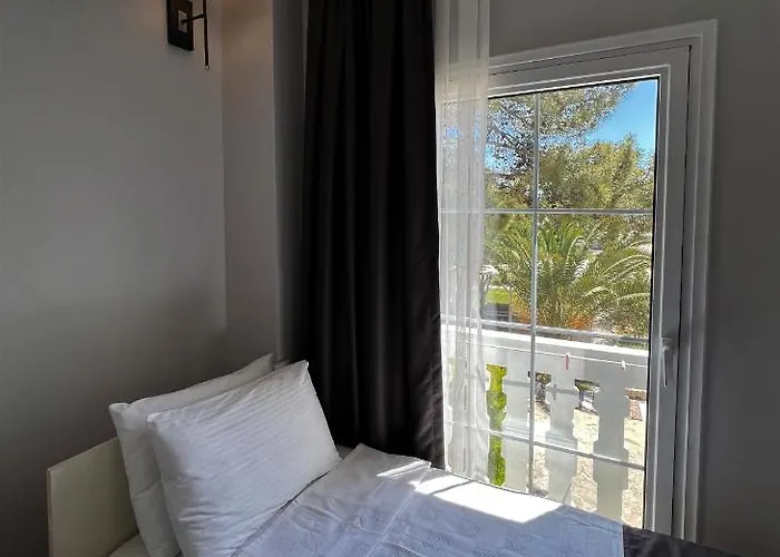 Beyaz Inci Palamutbuku