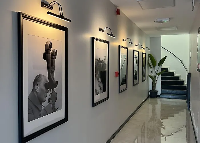 Beyaz Inci Palamutbuku