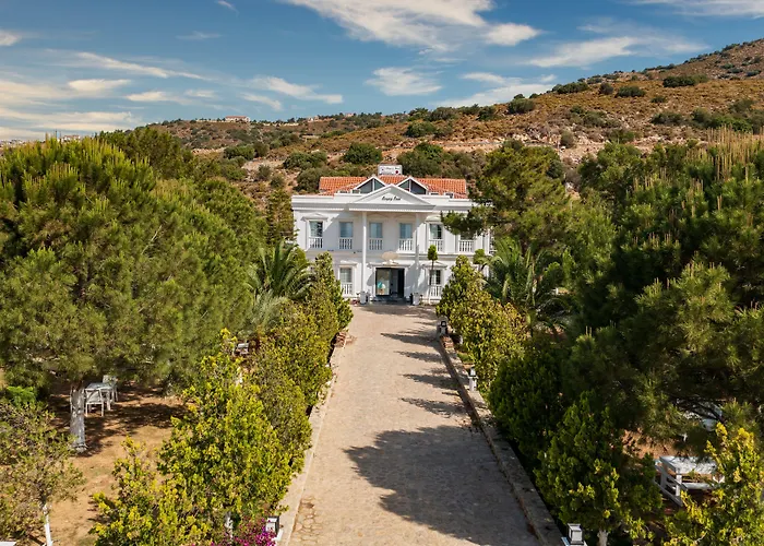 Beyaz Inci Palamutbuku