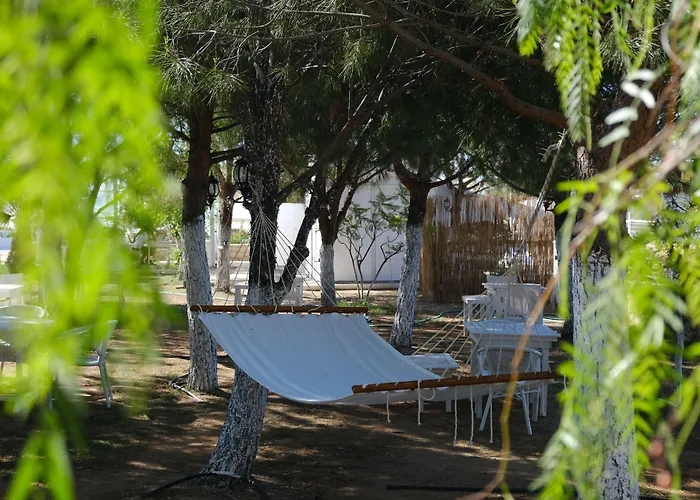 Beyaz Inci * Palamutbuku