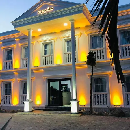 Beyaz Inci * פלמוטבוקו