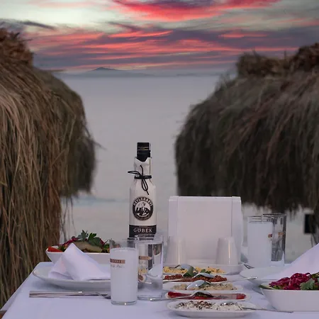 Beyaz Inci Palamutbuku