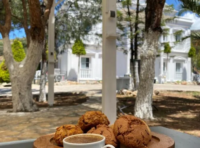 Otel Beyaz ınci Palamutbükü
