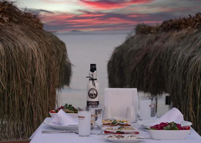 Beyaz ınci Palamutbükü